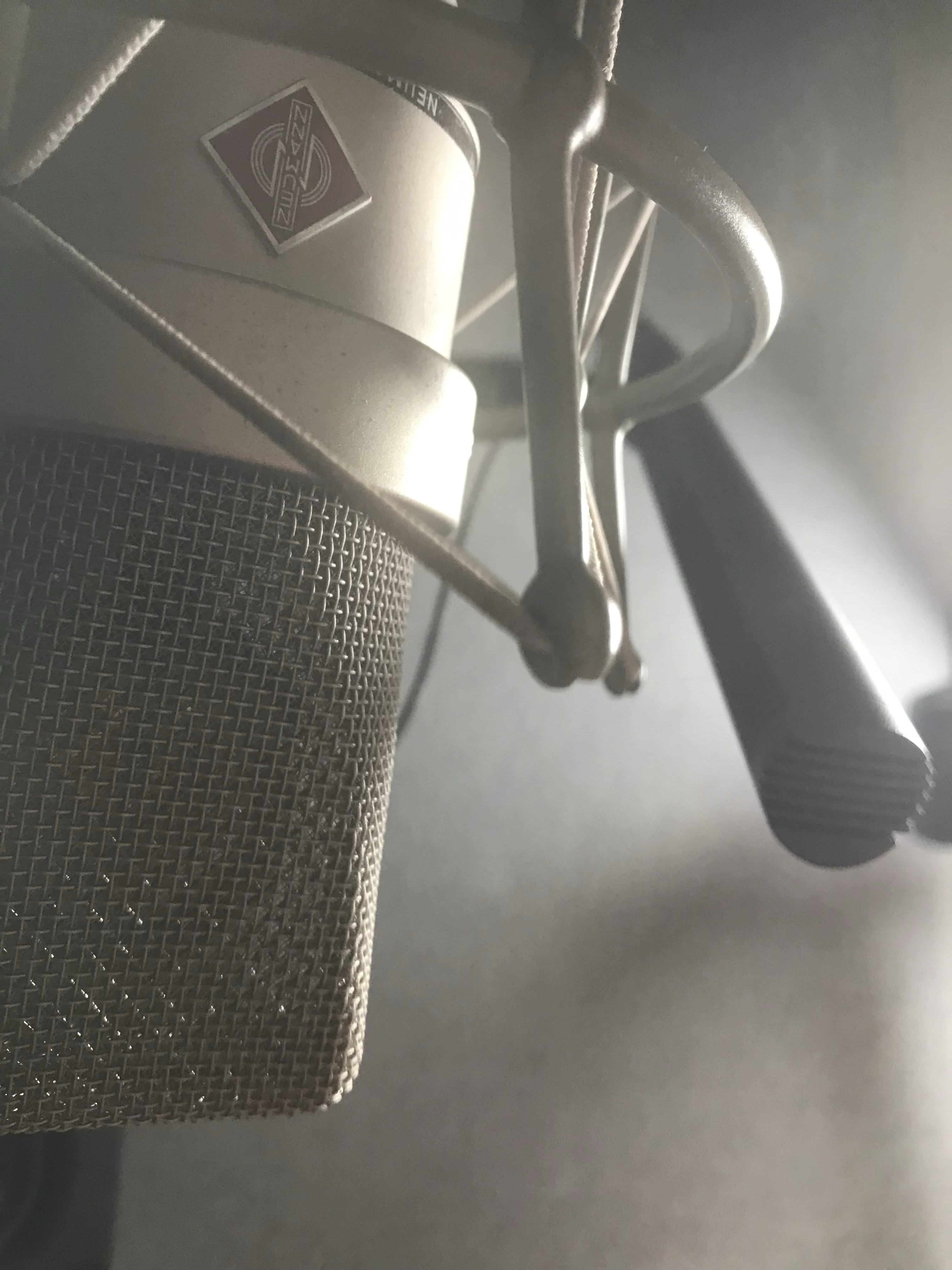 My voiceover studio has Neumann TLM 103 and Sennheiser MKH 416 microphones surrounded by 5