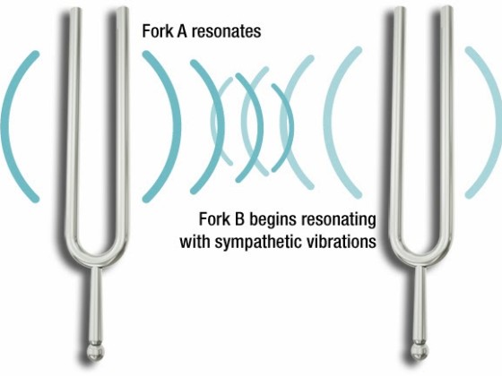 Tuning forks show how sympathic vibrations work